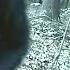 WHAT HIDDEN CAM RECORDS IS TRULY UPSETTING