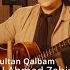 AI Ahmad Zahir احمد ظاهر Sultan Qalbam سلطان قلبم Afghan Classic Ai Ahmadzahir Afghanmusic