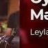 Leyla Rehimova Oyretme Meni Yeni 2025
