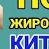 ЖИРОСЖИГАЮЩАЯ Китайская ТРЕНИРОВКА для БЫСТРОГО ПОХУДЕНИЯ Kiat JUD DAI полная