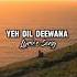 Yeh Dil Deewana Song Lyrics Hema Sardesai Dil Kaisa Bepir Hai Magical Lyrics Song