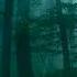 DARK FOREST Ambience And Music Sounds Of Dark Misty Forest With Ambient Music 4