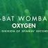 Wom Bat Wombasmile Radio Edit