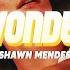 Shawn Mendes Wonder Sub Español Lyrics