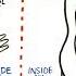 Failing Kidneys And Different Treatment Options