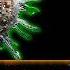 Klaus Schwab S 2030 Blueprint Isn T Science Fiction It S Already Happening Gregg Braden