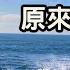 兩三下釣組就被拖下水 原來魚躲這裡啊 20250517 黑鯛 大哥大釣餌 釣魚台誘餌粉 大尾誘餌粉 磯釣 釣 海釣 Fishing 釣魚 Fish Câu Cá Trên đá