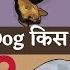 Dog Sleeping Position Meaning Must Watch If Your Sleeps Like This Hindi