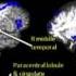 This Is Your Brain On Drugs
