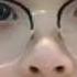 Youtuber Yg Lgi Viral 2020