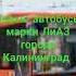 новые автобусы ЛиАЗ города Калининград