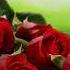 UN MILLION DE ROSES Chanson Russe En Français МИЛЛИОН АЛЫХ РОЗ на французском
