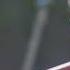 Wouter Kellerman Grammy Award Winning Flautist