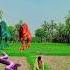 Bachalo Vfx Pterosaurus Jurassicworld Dinosaur Dinosaurride Dinomonster Trex Shorts