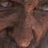 Dangerous Shape Shifter