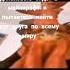 куда приехать