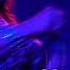 HunchoTv100 Presents Sylk E Fyne Live At The Stay Ready R B Hip Hop Eruption