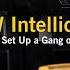 BW IntellidoX Docking Station How To Set Up A Gang Of Nests