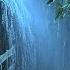 Goodbye Stress To Sleep Instantly With Heavy Rain Thunder On Old Metal Roof In Rainforest At Night