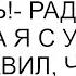 Нашлись мои хорошие нашлись радовалась жена а я с ужасом представил что коты вернутся к нам