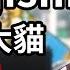 RIP QUALITY Nekojishi 家有大貓 2