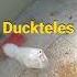 DuckTales Mario Duckbros The Duck