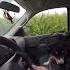 Bandit Goes For A Ride Watch Till The End