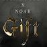 Paula Douglas X Noah Gift