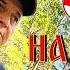НАУКА ПОБЕЖДАТЬ