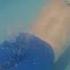 Natacion Sportmotion