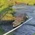 CROCODILE ATTACKS Wait For It