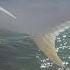 Jetty Fishing Mayhem Ft Mr Manatee