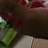 Phytolife Medicines For All Types Of Different Disease Suffer