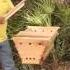 Top Bar Hive Basics