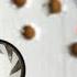 WILL A RIFLED CHOKE IMPROVE ACCURACY WITH RIFLED SLUGS