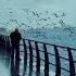 Fredo De Gaultier Passion And Pain Pt 4 Turkey Birds People Birdsoftheworld Birdwings