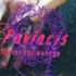 NLO Танцы Slowed Bassboost Pavlacis Beats Oficial Remix
