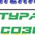 Ченнелинг Ryok Cтруктура сознания