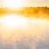 Dawn Chorus From The Nature Alarm Clock DVD