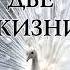 Две жизни Антарова Конкордия Книга 2 Часть 3 Аудиокнига