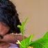 Medicine Plant Great Hope Jack S Love Tu Tien S Determination And Dream Of Becoming A Mother