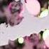 Marshmello FaiRyTaLE