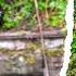 What We Found In This Canal Is Unbelievable