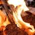 Can You Really Cook Steak Right On The Coals