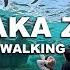 OSAKA TENNOJI ZOO One Of Japan S Oldest Zoos Since 1915 Full Walking Tour 2025
