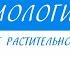 6 класс Биология Развитие растительного мира