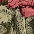 A Woman Drank 1 Liter Soy Sauce Colon Cleanse In 2 Hours This Is What Happened To Her Brain
