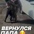 КАК ОНИ ЖДАЛИ Семья СВО Вернулся