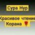 Сура Нур Свет Красивое чтение Корана Мухаммад Дибиров коран сура ислам пророк