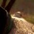 Way Of The Berserker All Cutscenes Assassin S Creed Valhalla